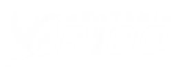 Mentoria R100